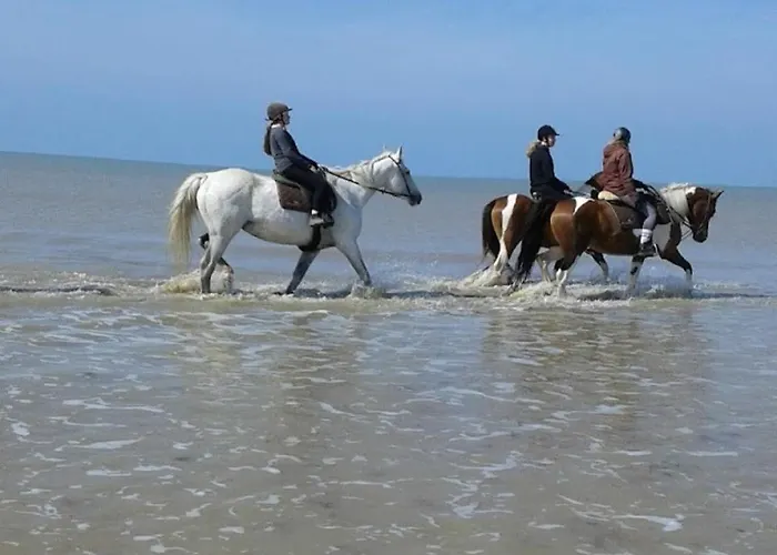 Maison De La Vendee 700m De La Нотр-Дам-де-Мон